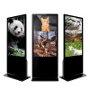 Màn Hình Quảng Cáo Chân Đứng Kiosk MeekBase 65 inch - M65FS